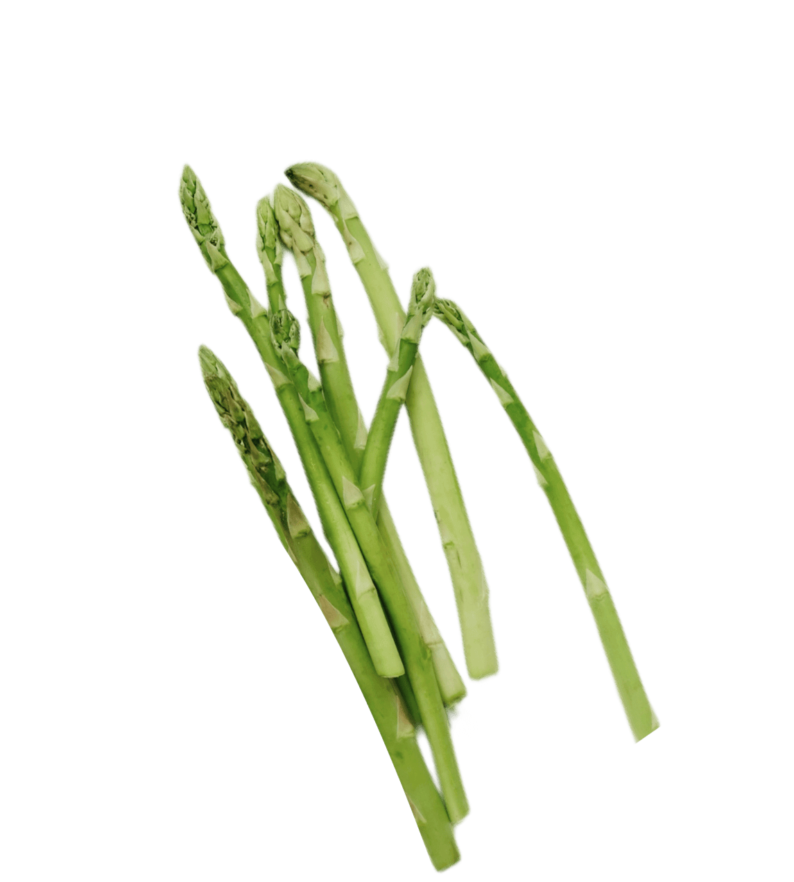 Are You Ready To Take The First Step - Nutritionist X Webflow Template